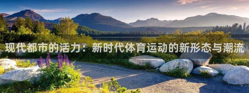 猎豹体育免费观看高清直播：现代都市的活力：新时代体育运动的新形态与潮流