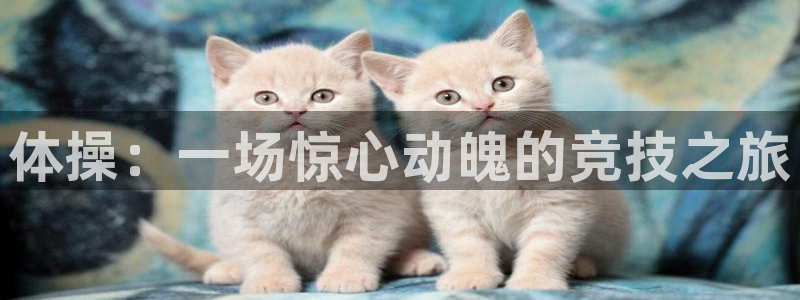 猎豹体育文化传播有限公司