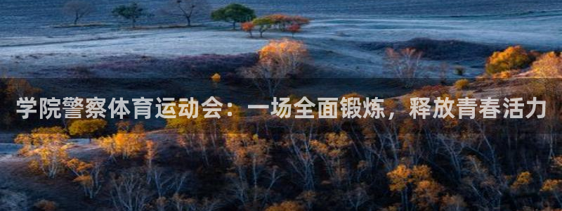 猎豹体育在线观看免费：学院警察体育运动会：一场全面锻炼，释放青春活力