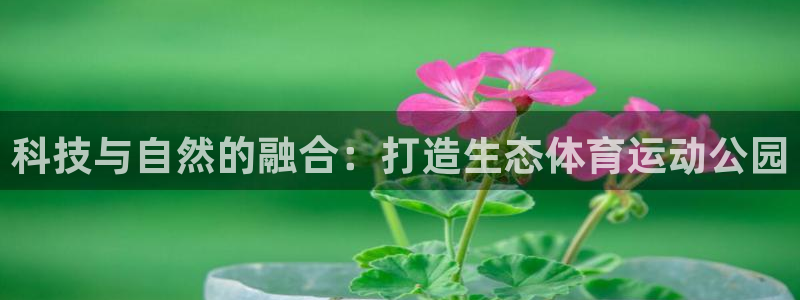 猎豹体育app官方入口