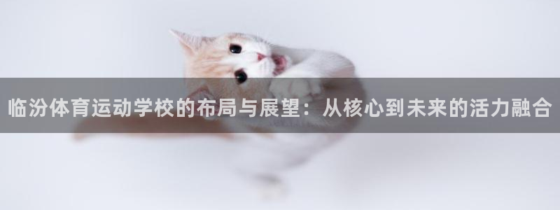 猎豹体育下载app