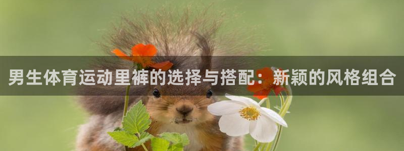 猎豹体育直播在线观看(无插件)：男生体育运动里裤的选择与搭配：新颖的风格组合